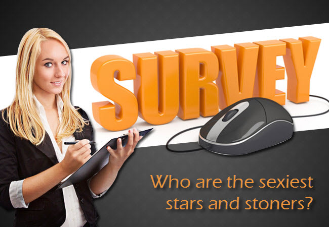 insights_survey_february