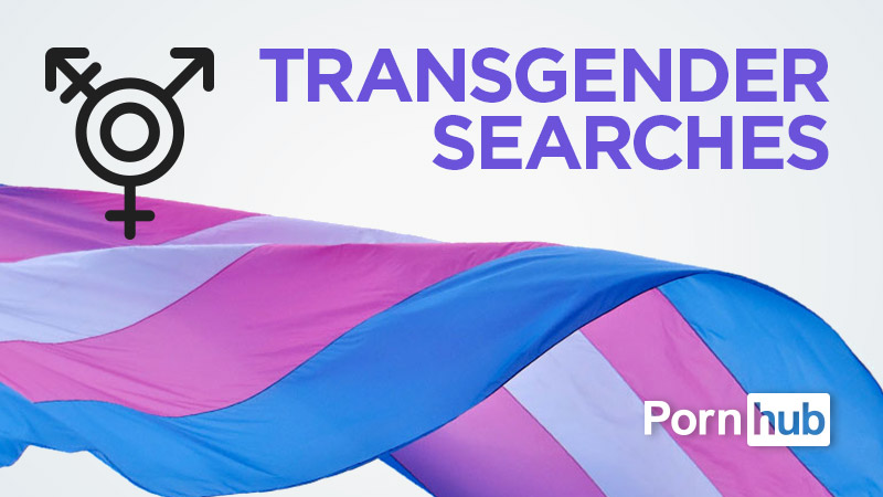 Transgender Porn Searches