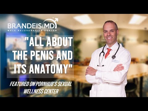 Video: Everything You Need To Know About The Penis And Its Anatomy